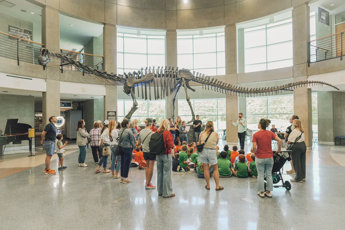 The dinosaur hall