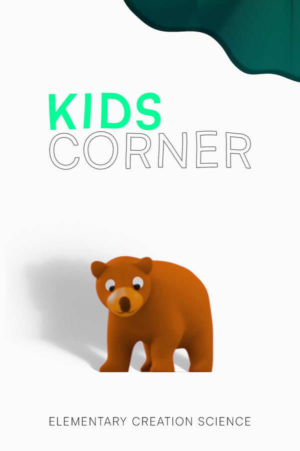 Kids Corner poster
